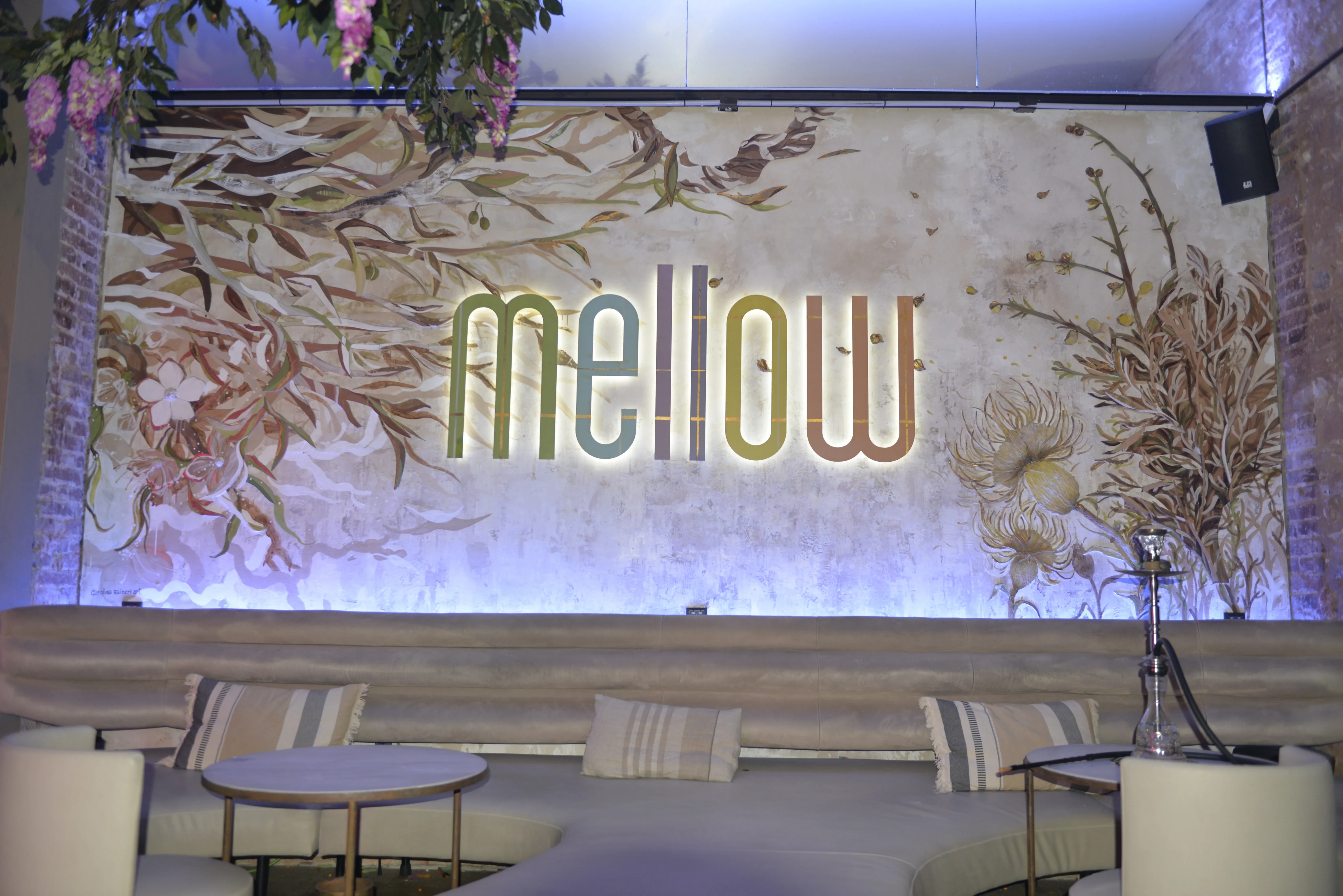 Interior real de Mellow Shisha